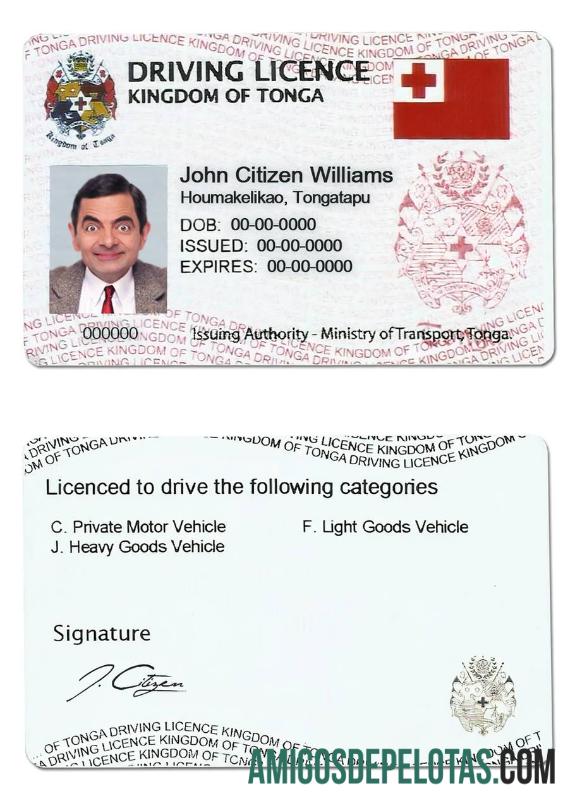 Carteira de motorista de Tonga modelo